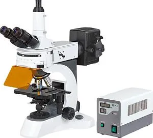 Микроскоп люминесцентный исследовательский многоканальный БЛМ-Л, изображение 1