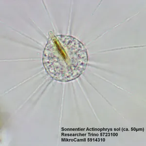 Микроскоп Bresser Researcher Trino, изображение 15