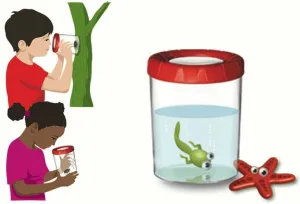 Банка для насекомых Navir «Мега» с лупой 3x и жуком, изображение 4