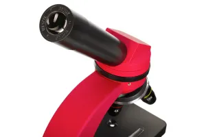 Микроскоп Levenhuk Discovery Nano с книгой, изображение 10