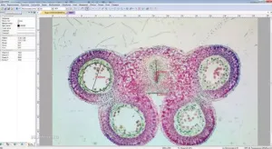 Видеоокуляр ToupCam XCAM HDMI 5 Мпикс (XCAM0720P-H), изображение 2