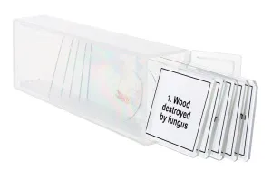 Набор микропрепаратов Levenhuk Discovery Prof DPS 5. «Мутации», изображение 5