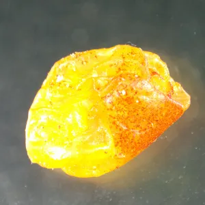 Микроскоп стереоскопический MAGUS Stereo A8, изображение 15