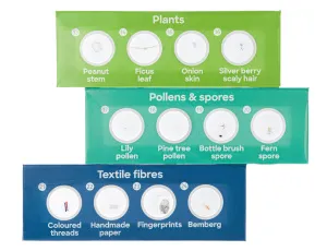 Набор микропрепаратов Levenhuk Discovery «Флора», 12 шт., изображение 3