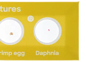 Набор микропрепаратов Levenhuk Discovery «Флора и фауна», 24 шт., изображение 7