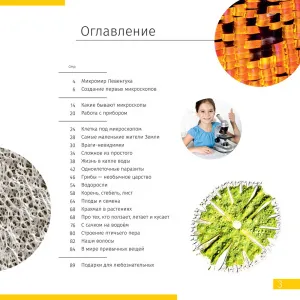 Микроскоп Levenhuk Discovery Atto Polar с книгой, изображение 5
